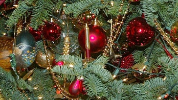 Getting your real Christmas tree to last all season