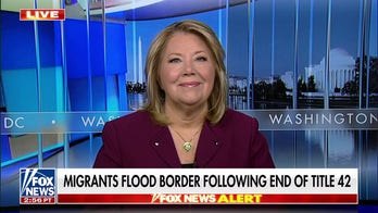 Arizona rep. accuses Democrats of being 'complicit' in border crisis: They had two years and 'did nothing'