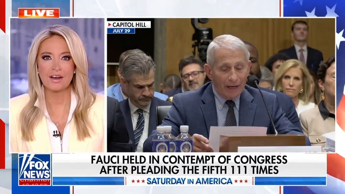 Dr Scott Atlas slams Dr Anthony Fauci over newly released COVID diary entries