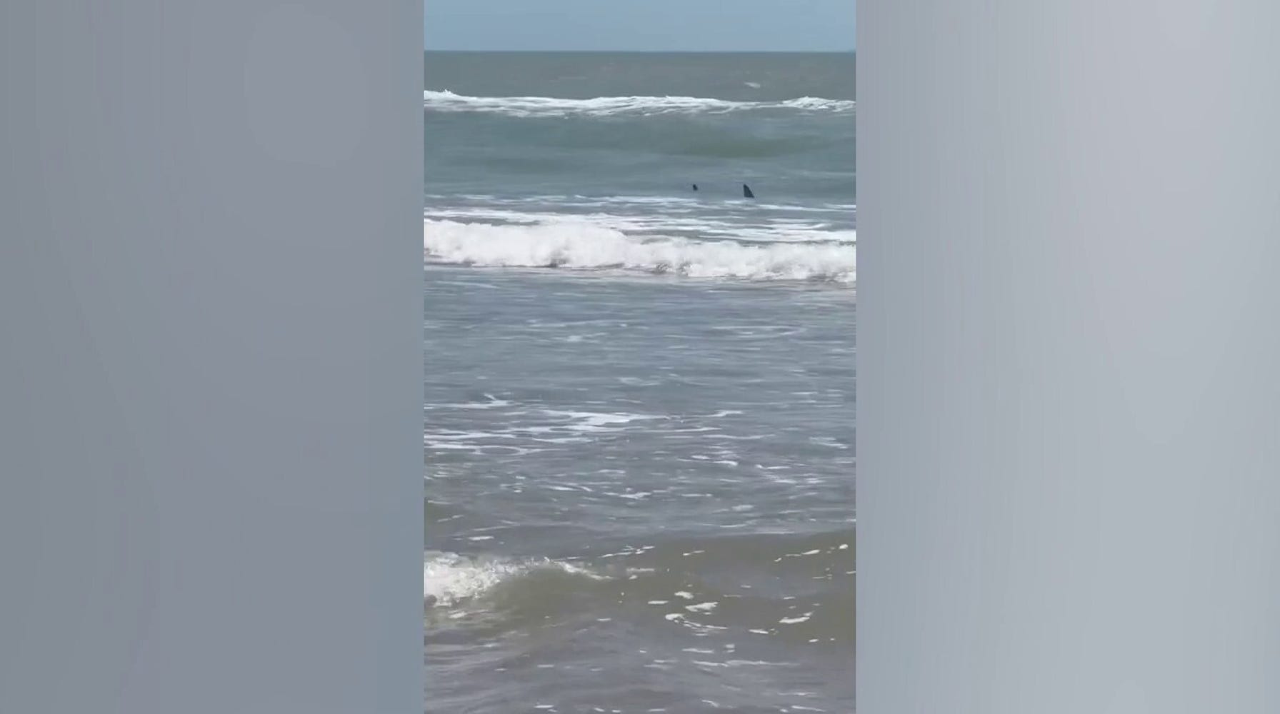 Shark Attacks Mar Texas Beach on Fourth of July