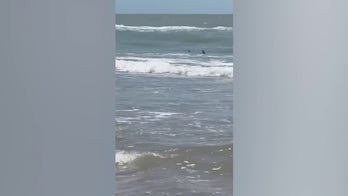 Sharks seen darting along Texas beach prior to successive bites
