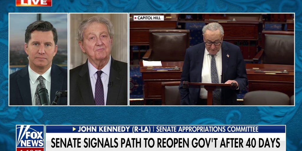 Schumer 'chose' to have the government shutdown: Sen. John Kennedy