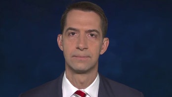 Tom Cotton says Trump 'living rent-free' in heads of Democratic Party elites