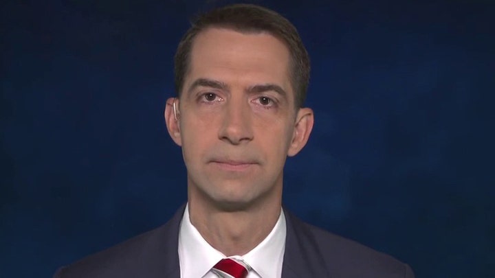 Sen. Cotton on Democrats' lack of reasons to elect Biden