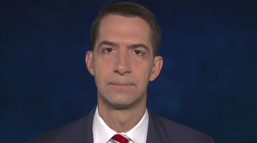 Sen. Cotton on Democrats' lack of reasons to elect Biden