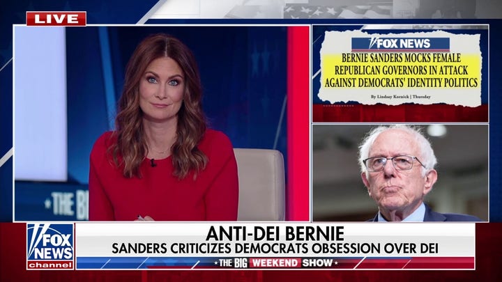 Bernie Sanders slams Democratic Party’s DEI obsession