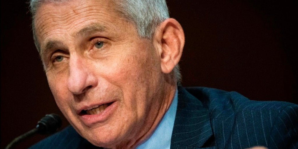 Fauci says there is 'no reason' Americans can't vote in person in November