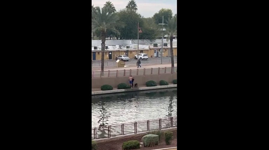 Dog and owner rescued after falling into Arizona canal