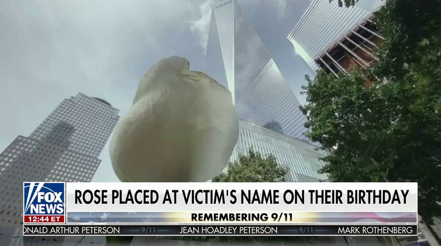 The birthday white roses at ground zero