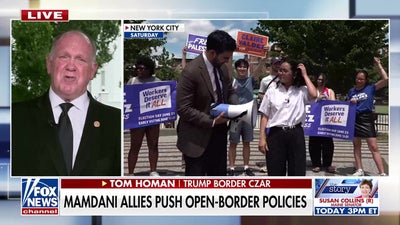 Tom Homan: These politicians are 'nuts'