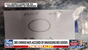 Third Chinese national accused of smuggling bio weapons in 'alarming' threat to US security