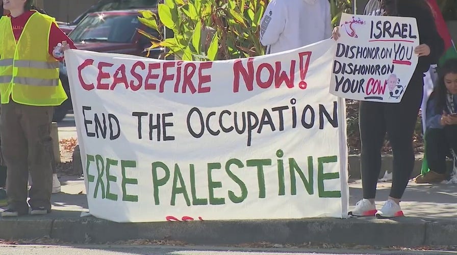 Pro-Palestinian protest in Atlanta