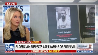 ICE removes over 230 ‘worst of the worst’ criminal illegal immigrants in Florida - Fox News