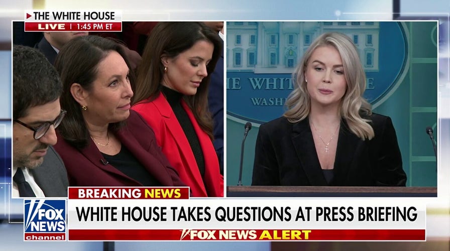 Karoline Leavitt agues Dems' could incite 'chaos' with 'radical' connection   to defy orders