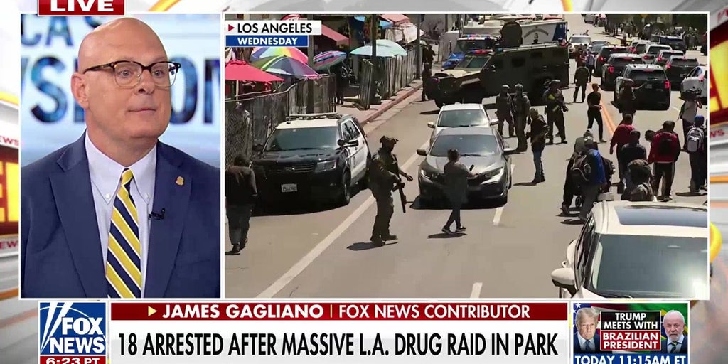 18 arrested after massive LA drug raid in park