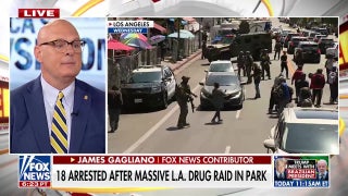 18 arrested after massive LA drug raid in park