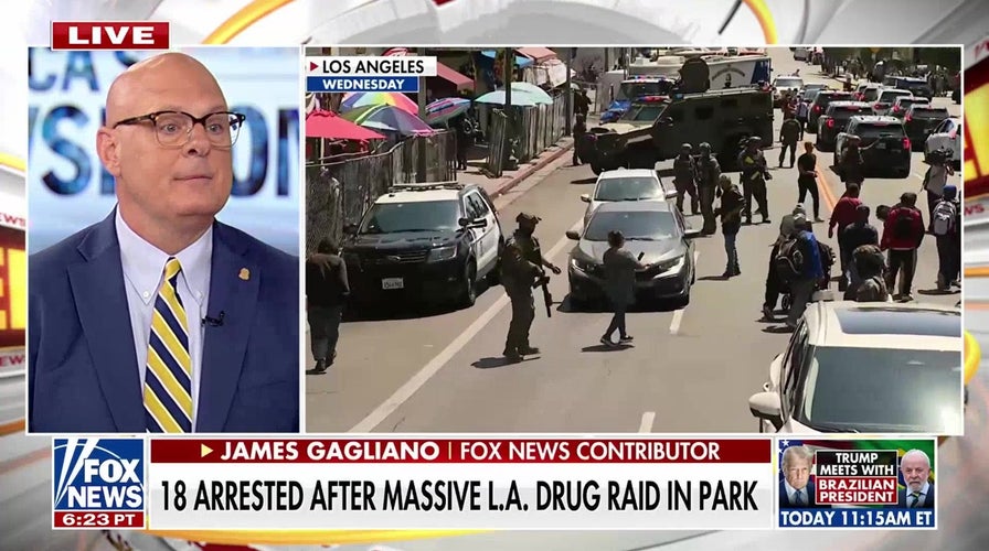 18 arrested after massive LA drug raid in park