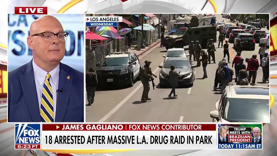 18 arrested after massive LA drug raid in park
