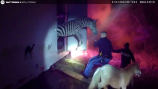 Indiana police rescue circus animals from burning truck along I-69 - Fox News