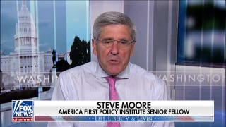 Steve Moore says DSA politicians are making cities ‘unlivable’