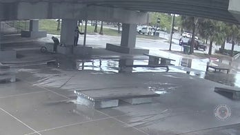 Violent hit-and-run caught on camera in Florida, 3 charged