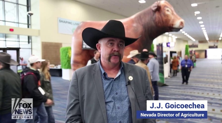 Nevada Director of Agriculture J.J. Goicoechea warns Americans to prepare to pay more for groceries