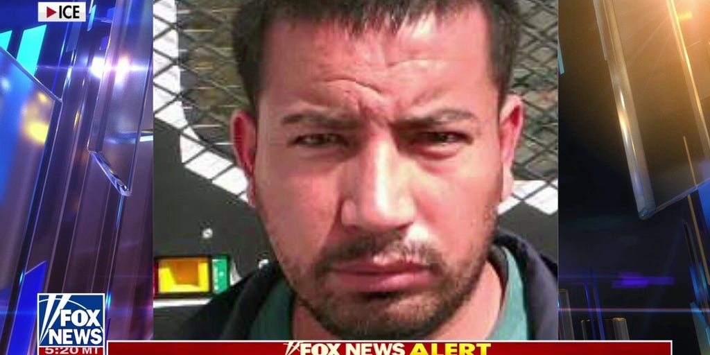 ICE search for driver who allegedly tried to run over agents with his car