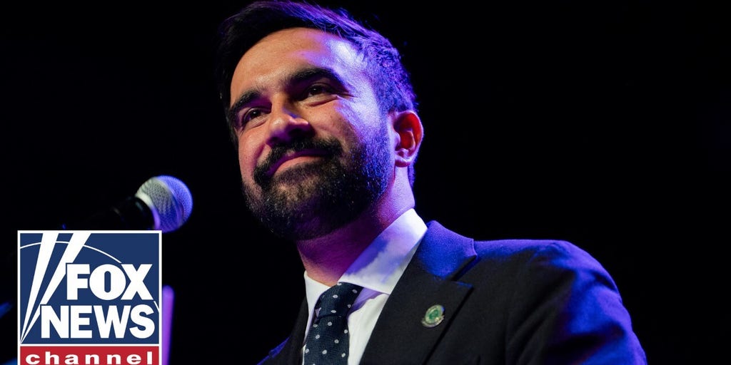 New York leaders reportedly hesitant to endorse Zohran Mamdani for mayor