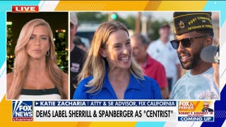Republican strategist sounds off on ‘weak, whiny' Democrats for rebranding attempt
