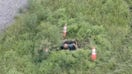 Florida sheriff's deputies arrest man crawling out of sewer grate