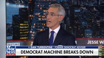 The Democratic leadership is 'weak and wimpy,' former Democratic advisor says