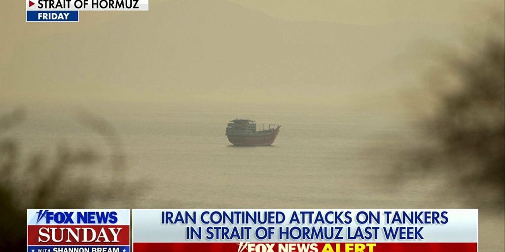 Trump pauses Iran strikes as negotiations continue