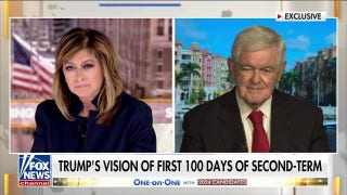 Trump’s first year would be ‘astonishing’: Newt Gingrich - Fox News