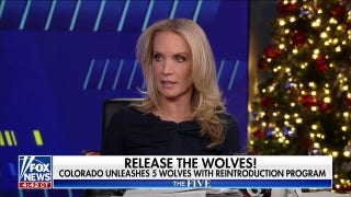 Dana Perino: Liberal priorities seem to be getting 'more unrealistic' - Fox News