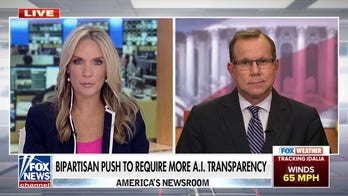 Bipartisan push to require more AI transparency 