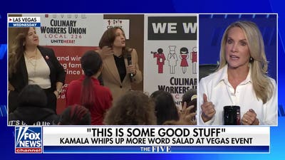 Greg Gutfeld: Kamala Harris is a firefighter who shows up after the fire