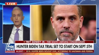 Trey Gowdy: I think Hunter Biden will plead guilty to tax case and his father will 'pardon him' - Fox News