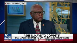 Democrat leader hesitates to say Kamala Harris is the future of Democratic Party - Fox News