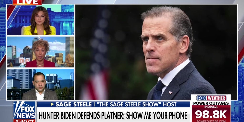 Sage Steele questions Hunter Biden's moral authority amid Platner controversy
