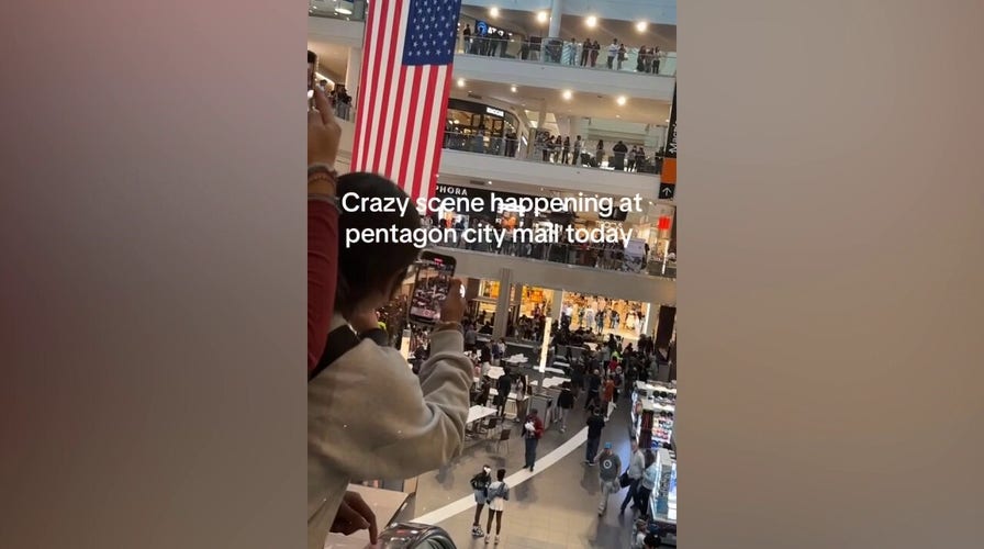 Chaos erupts at busy mall as fights break out