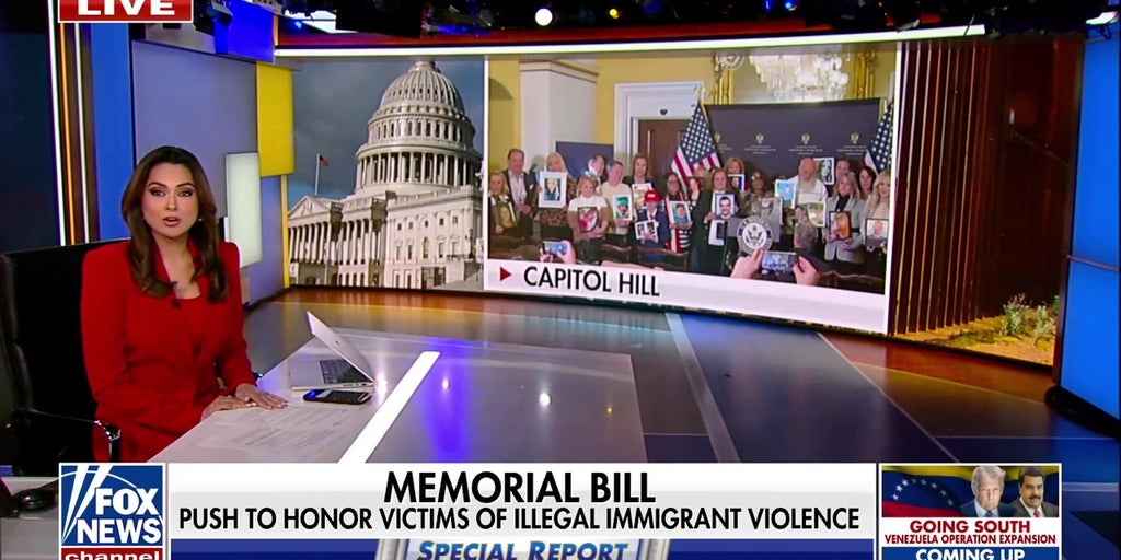 A ‘somber day' goes by in DC as ‘angel families’ visit Capitol Hill