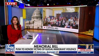 A ‘somber day' goes by in DC as ‘angel families’ visit Capitol Hill