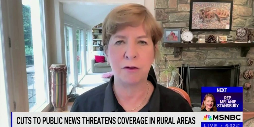 Former NPR CEO says journalism and federal funding was 'recipe for disaster'