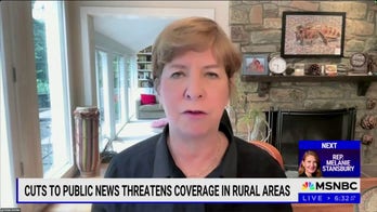 Former NPR CEO says journalism and federal funding was 'recipe for disaster'