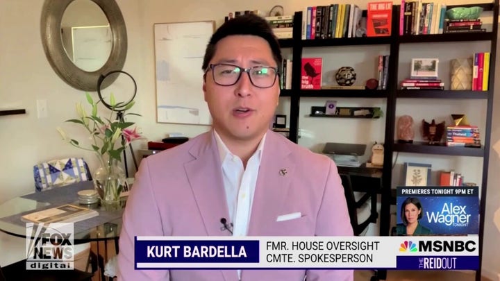 DNC adviser says Republicans are a 'domestic terrorist cell' operating in the U.S.