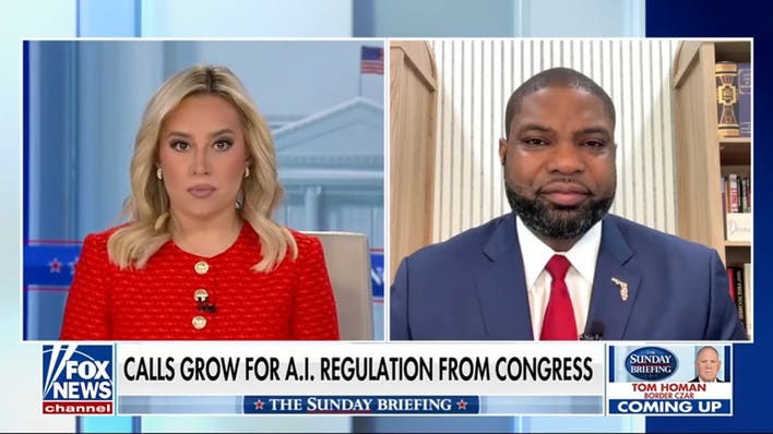 House Dems call for ‘bipartisan’ AI safeguards
