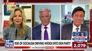 Dem strategist issues warning as party shifts further left: 'Socialism is a complete failure'