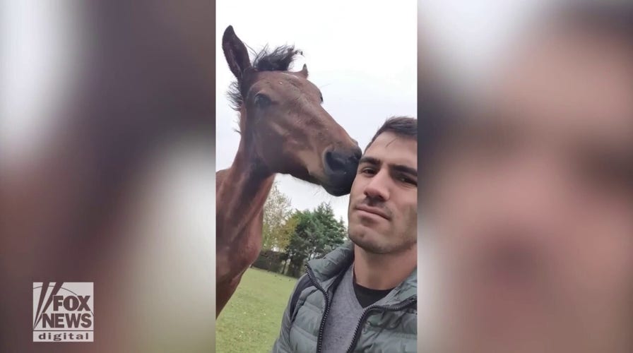 Pet horse roams house: See the sweet video