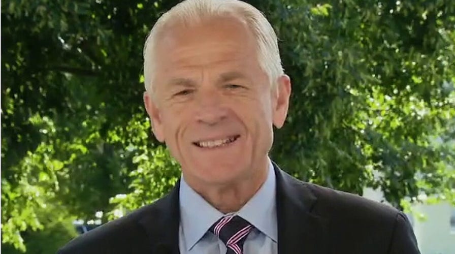 Peter Navarro blasts 'poll-driven plagiarist' Joe Biden's economic plan