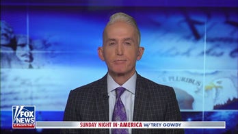Democrats have so few leverage points because they can't win elections: Trey Gowdy